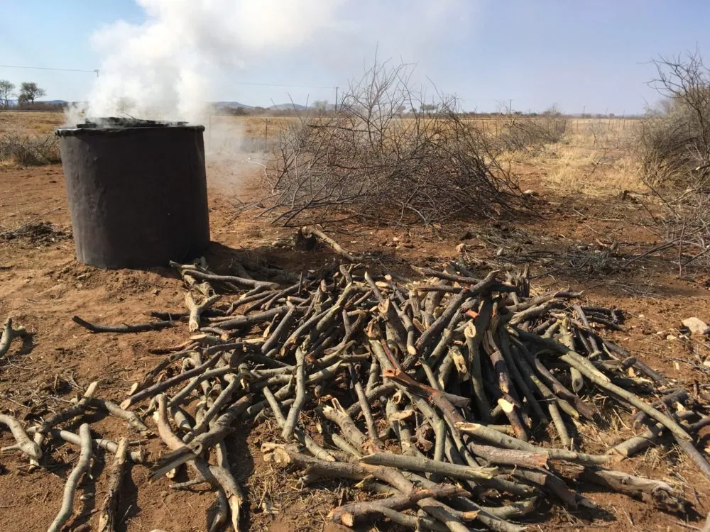 Een kiln in de bush